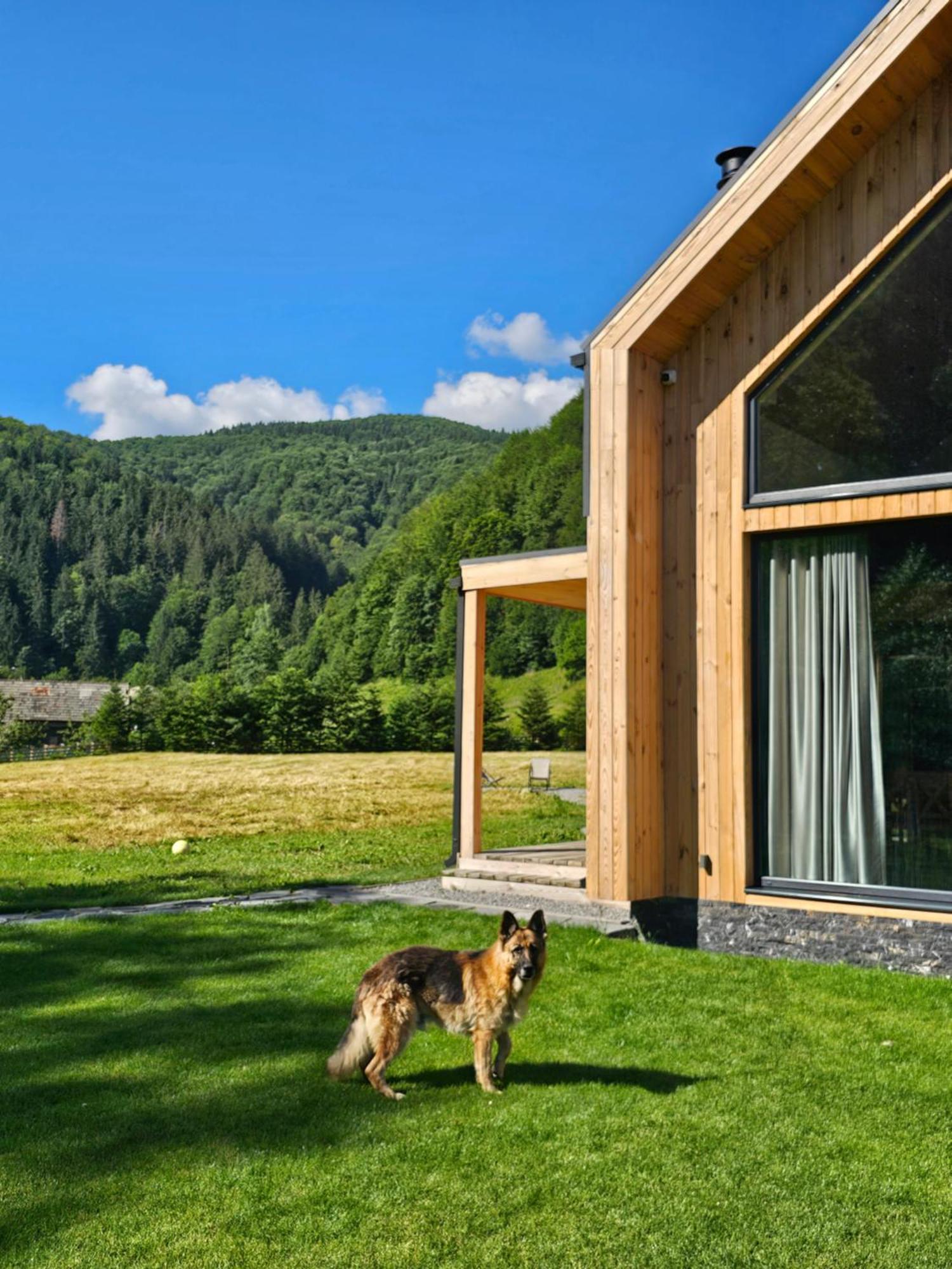 Vama Chalet Vama Buzaului Bagian luar foto