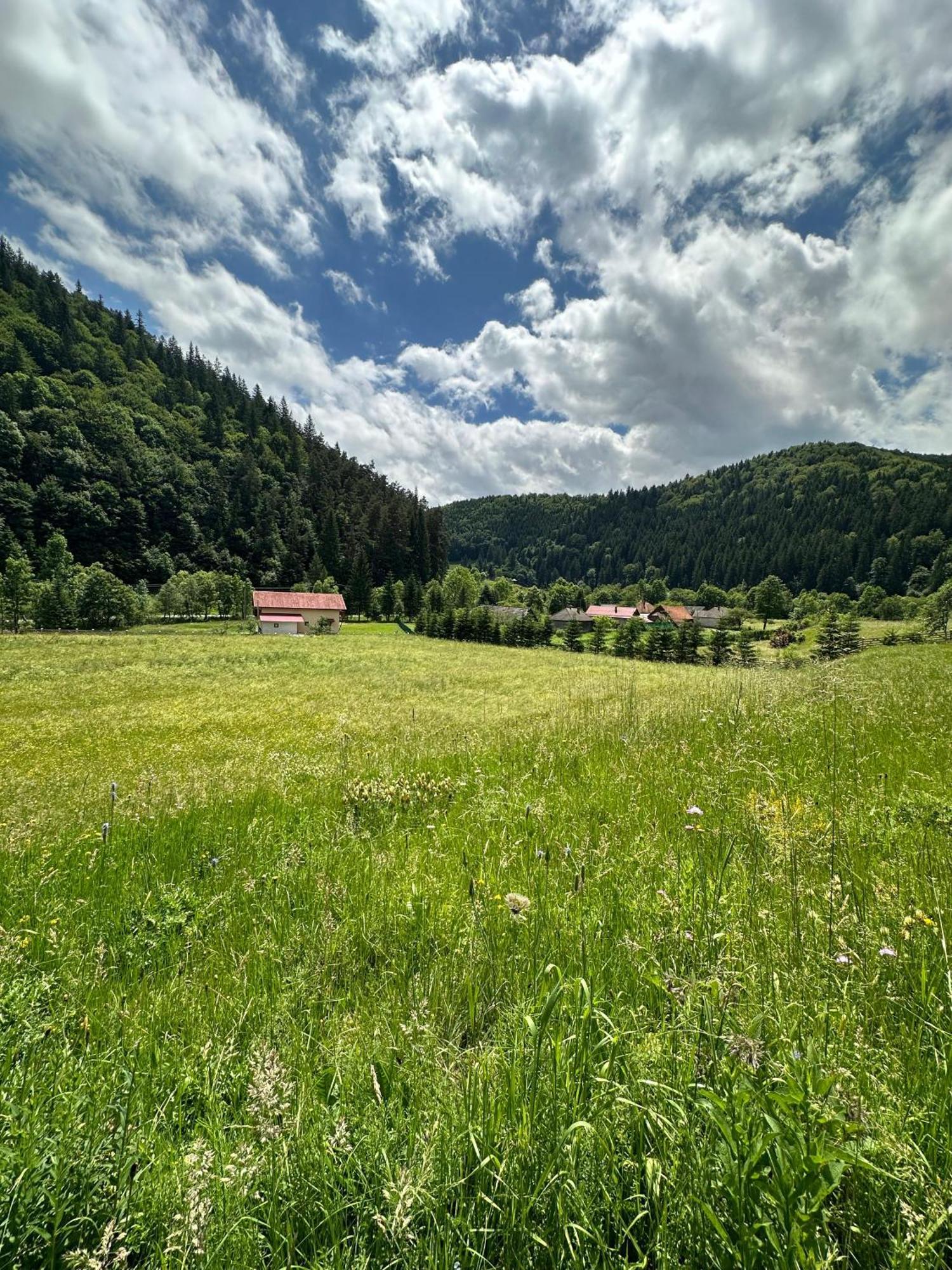 Vama Chalet Vama Buzaului Bagian luar foto
