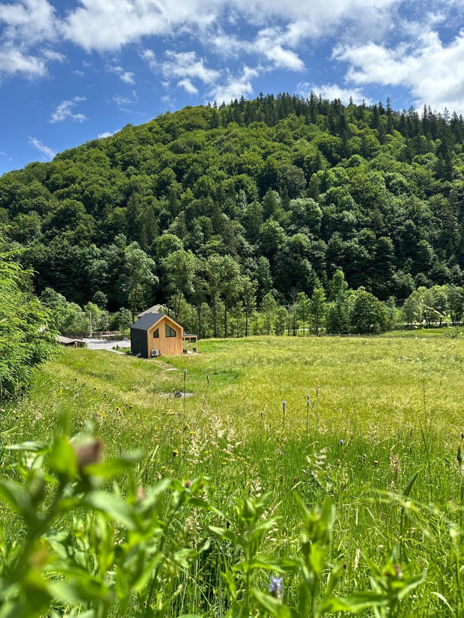 Vama Chalet Vama Buzaului Bagian luar foto