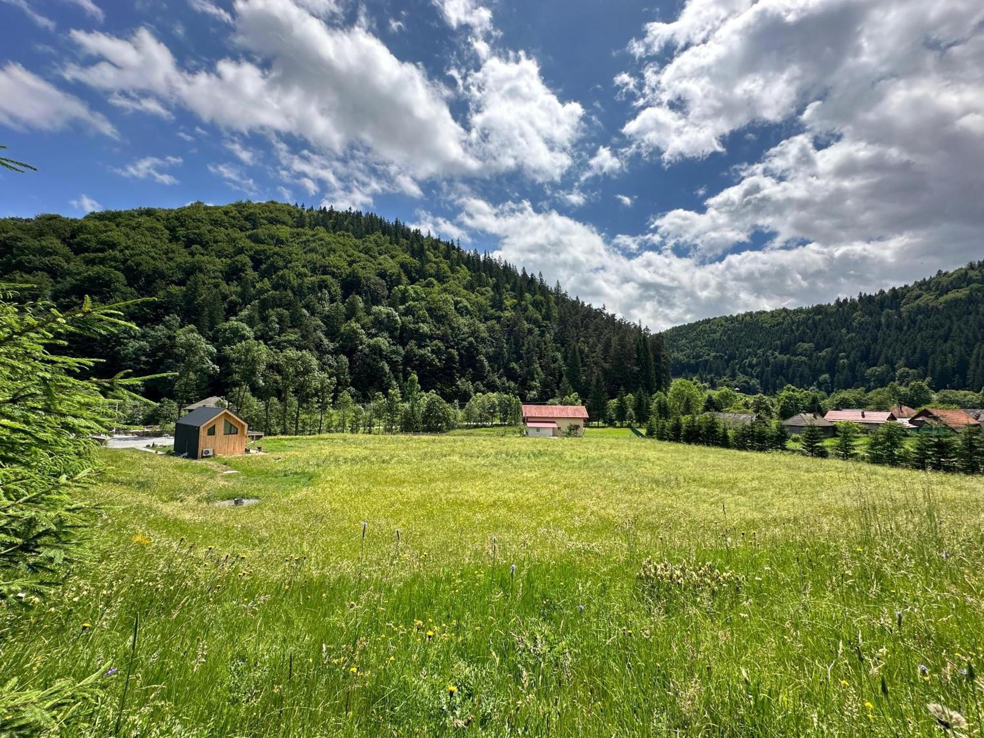Vama Chalet Vama Buzaului Bagian luar foto