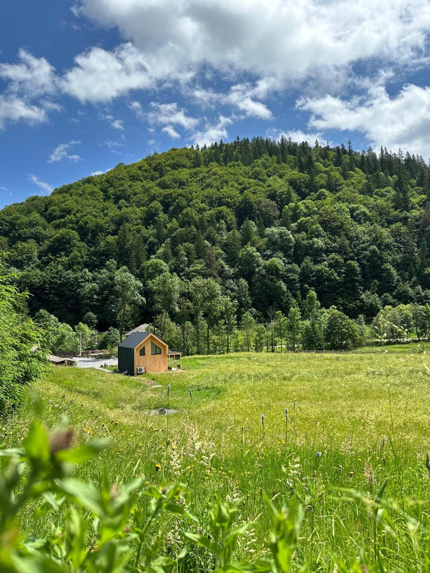Vama Chalet Vama Buzaului Bagian luar foto